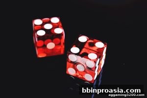 AG真人 bbinproasia